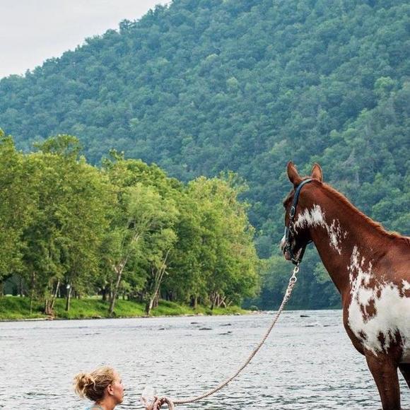 Meet your Posher, Stephanie - Picture 1 of 1